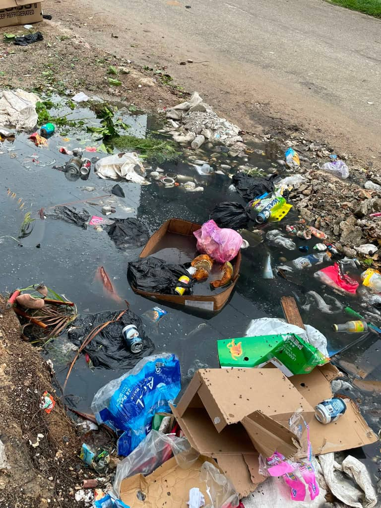 La basura, la desidia y el virus que no tiene vacuna