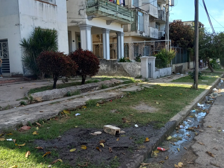 Crónica personal de una epidemia avisada