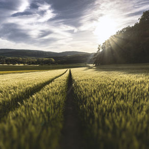 Obtaining Planning Permission In Rural Areas