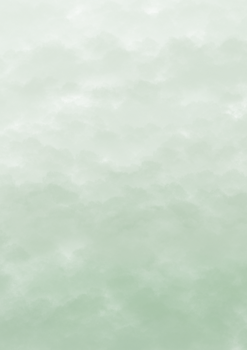 Timeline BG.png