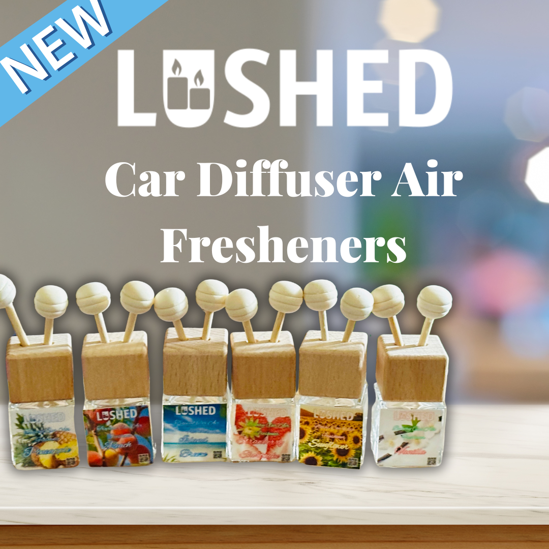 Clip on Car Diffuser