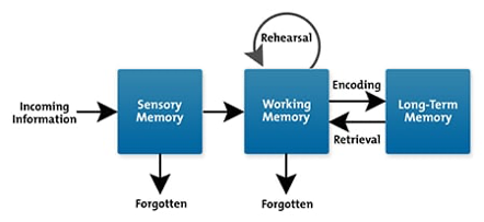 long term memory pic.png