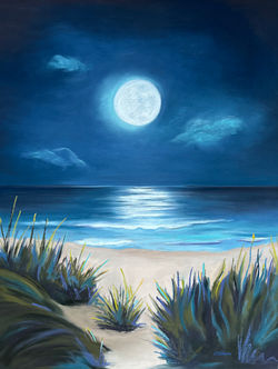 Moon Shadow