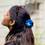 Thumbnail: Evil Eye Hair Claw Clip  – Trendy, Strong Grip & Nazar Protection
