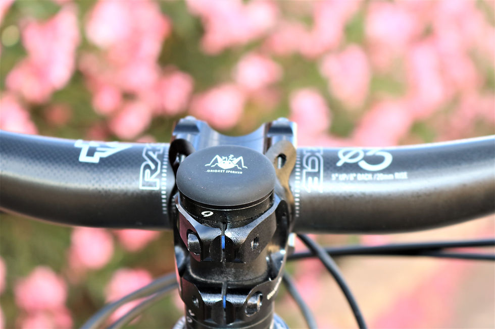 Thumbnail: CRICKET SPEAKER (TM) - Individual Bike Speaker and Stem Mount