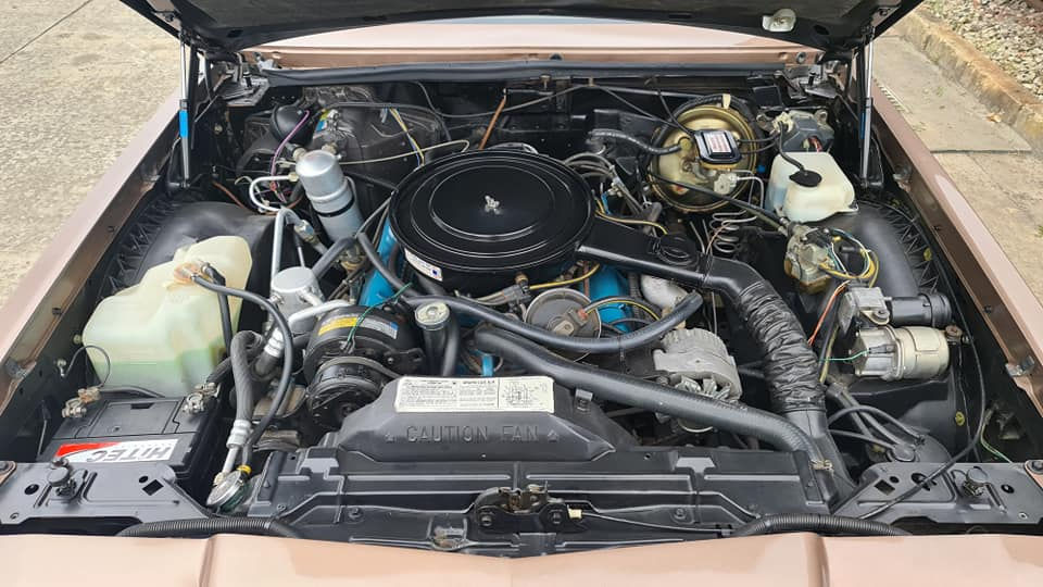 Thumbnail: 1979 Buick Riviera V8