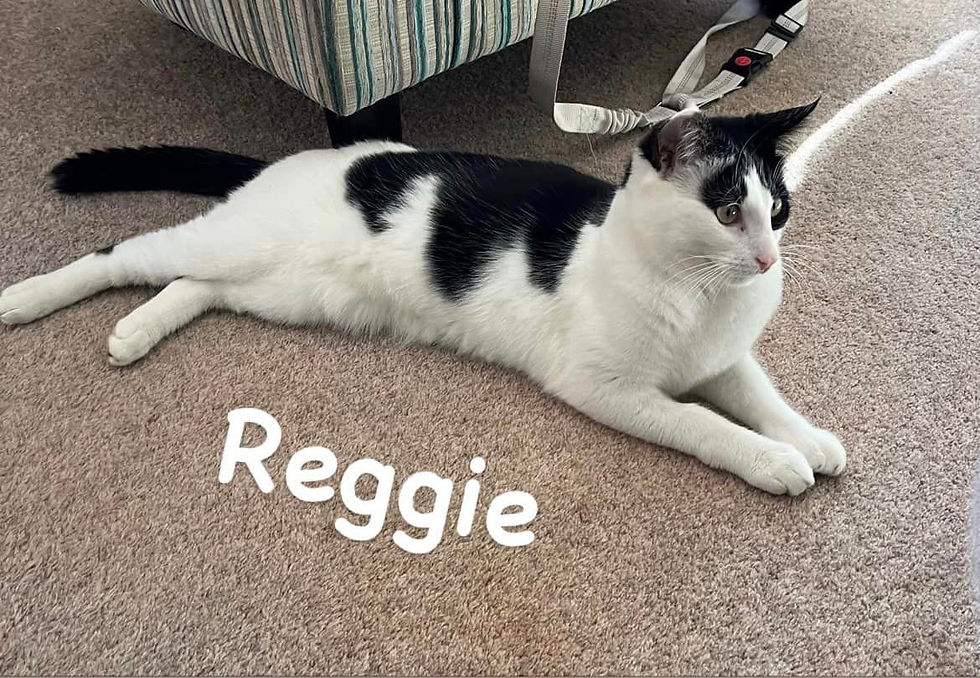 REGGIE