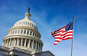 American flag waving with the Capitol Hill in the background.jpg