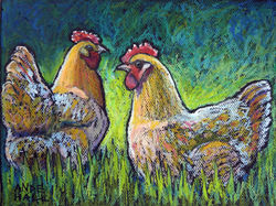 Buff Orpington Morning int