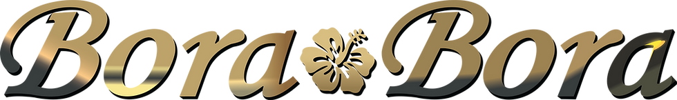 bora file 1 Black Mettallic-Transparent.png