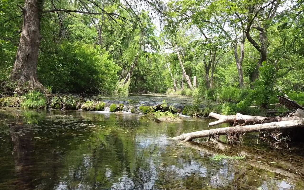 Central City Austin 2