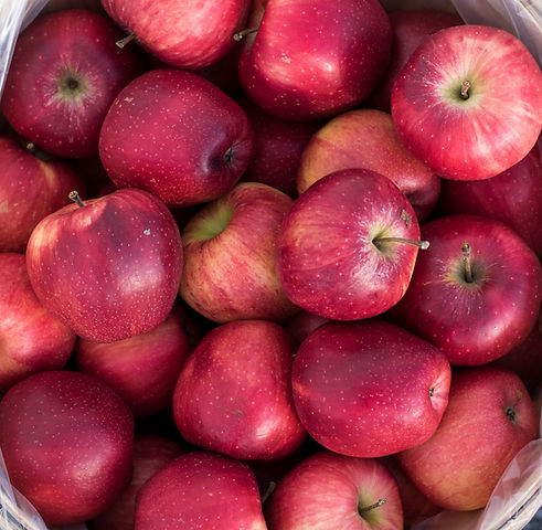 showalters_apples-3_edited.jpg