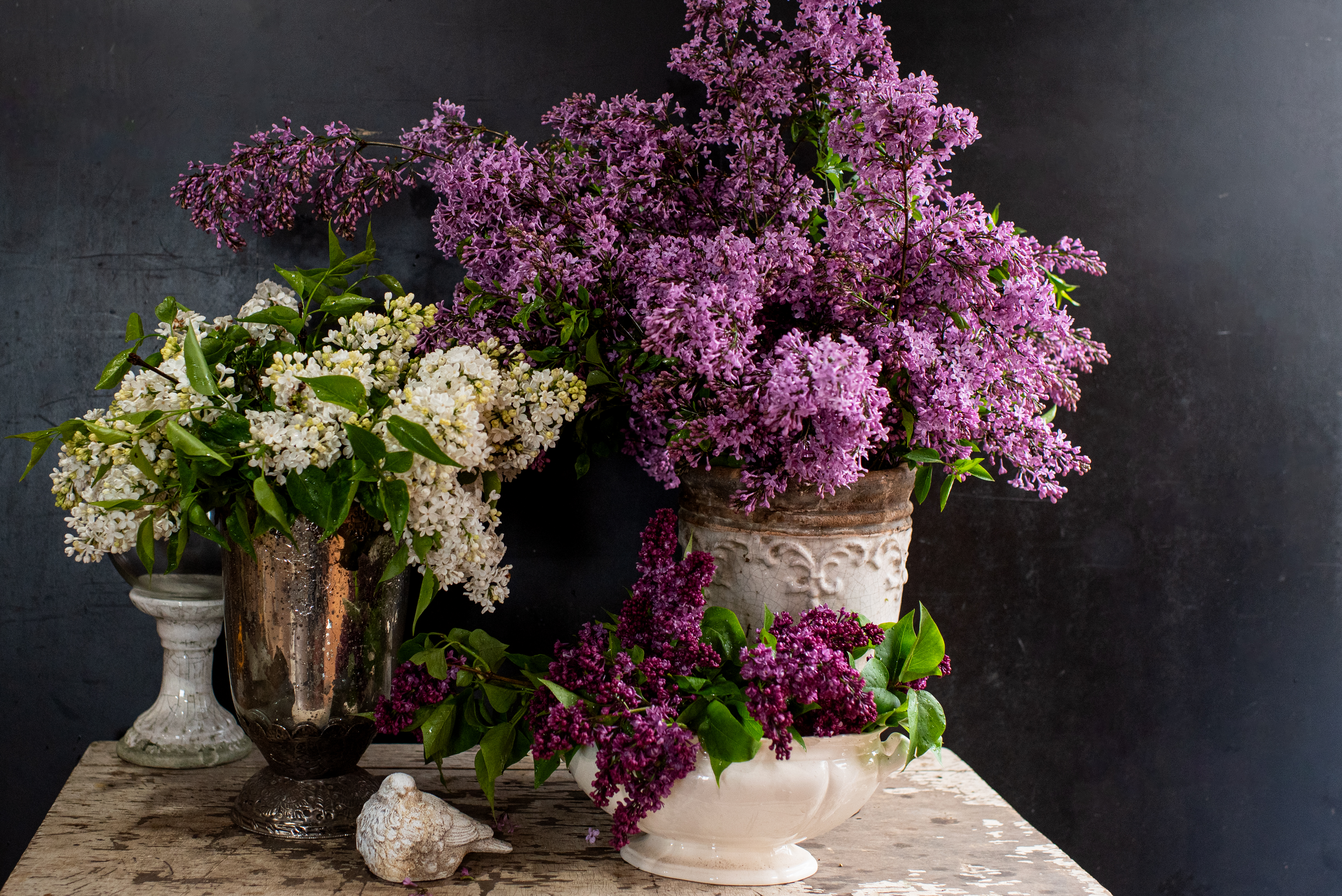 lucillesgarden_lilacs-42.jpg
