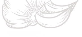 coisa4.png