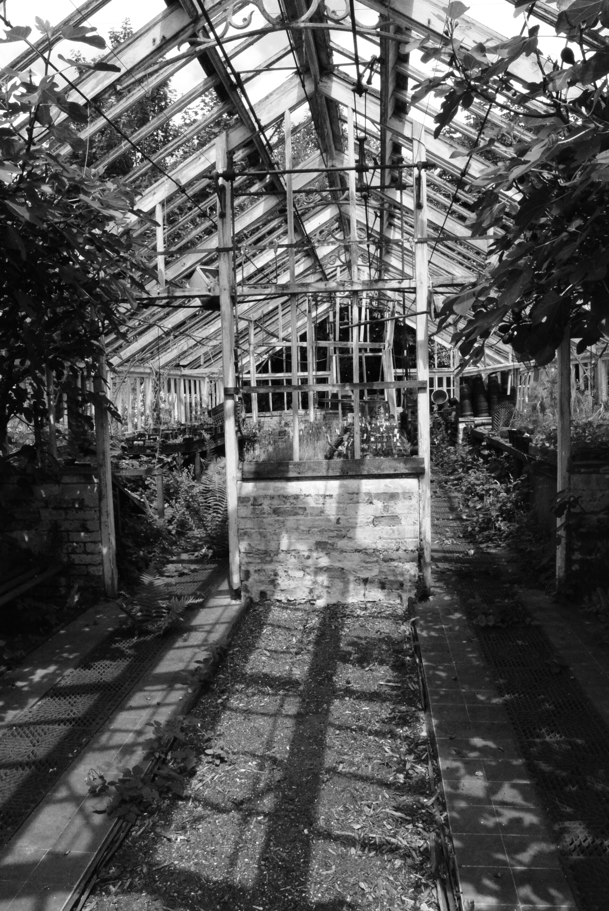 The lonely green house