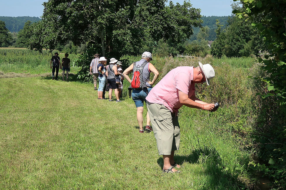 Am Wiesenbach gab es viel zu entdecken