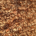 mahogany mulch