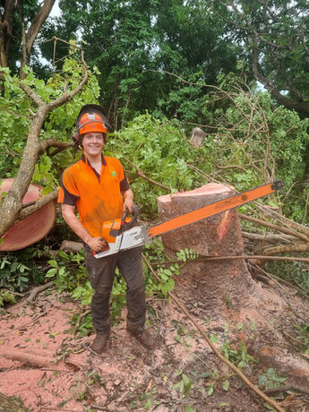 tree removal