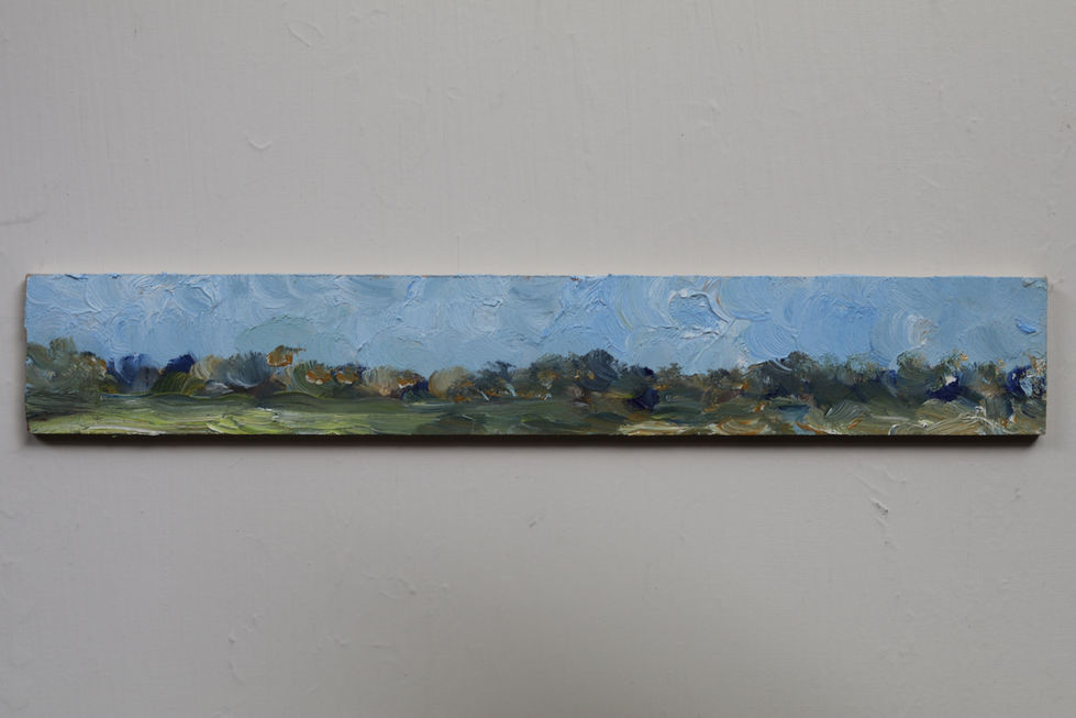 Little Countryside