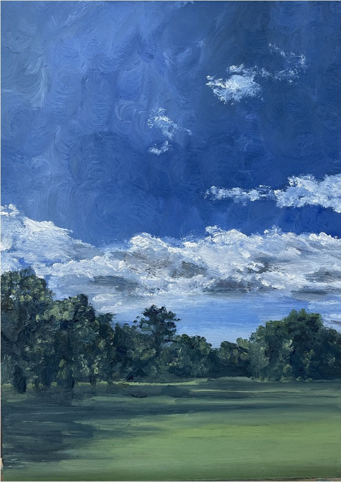 The Meadows