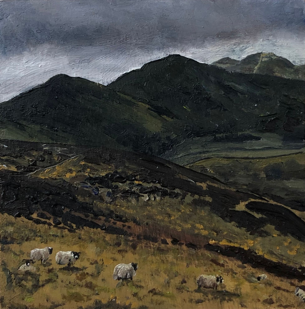 Sheep Upon the Hillside
