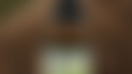 🌿 Discover the Power of Vitamin B-12 Drops (1000mcg) by Natural Living by Design! 🌿