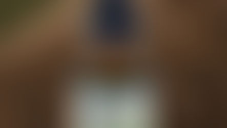 🌿 Horsetail Hair Restoration: Nature's Secret for Stronger Hair and Healthier Living 🌿