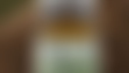 Unleash the Power of Nature with Green Bean Capsules! 🌿