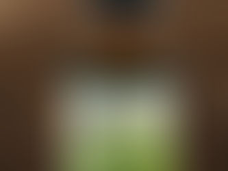 🌿 The Benefits of Vitamin B12: Fuel for Energy, Brain Health & Vitality