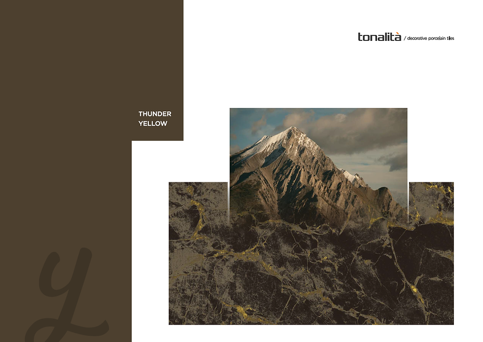 Miniatura: CARRELAGE EFFET MARBRE SOL ET MUR