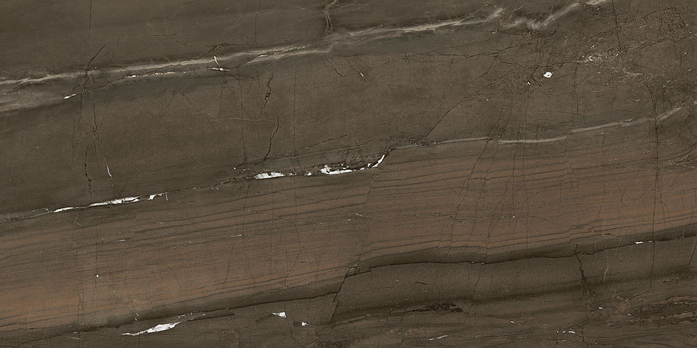 Thumbnail: CARRELAGE EFFET MARBRE XXL 120X260CM