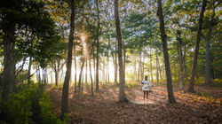 Watermill Summer Gala Benefit