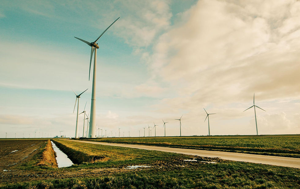 Article: Carbon footprint
