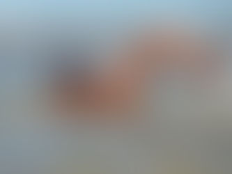 La vergüenza de ser la última