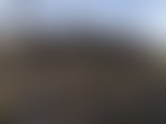 2023年1月26日 イチジク、キウイ剪定