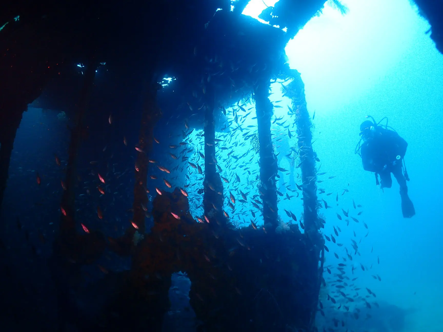 Atami Wreck Diving July (AOW + Only)