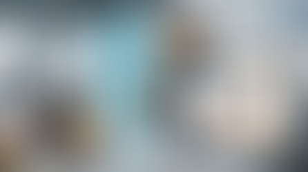 Indisponibilité temporaire : Le site pourra être désactivé pour une durée maximale de 48 heures.