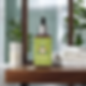 Health and Wellness Logo
