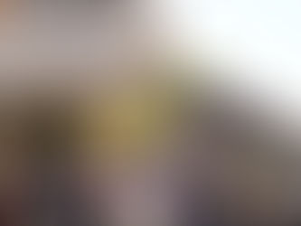 Da crise à travessia: a diáspora venezuelana e seus reflexos no Brasil