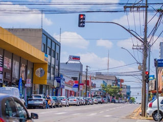Mil árvores depois: o que ainda falta explicar sobre a arborização de Cascavel