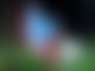 Bad Bunny e o pop como trincheira na disputa por identidade e poder