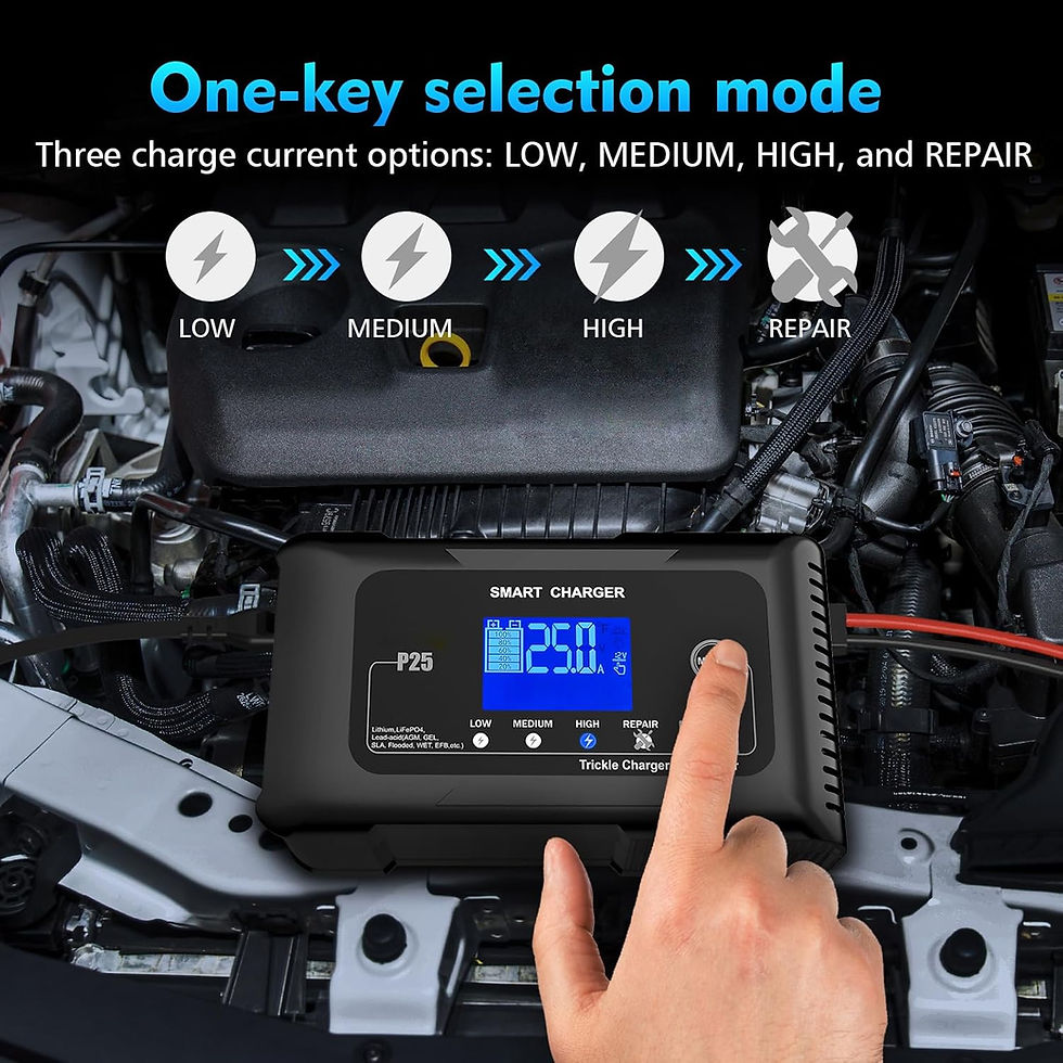 Thumbnail: 25Amp Lithium Battery Charger 12V/24V Lifepo4, Lead Acid (AGM/Gel/SLA..) Portab