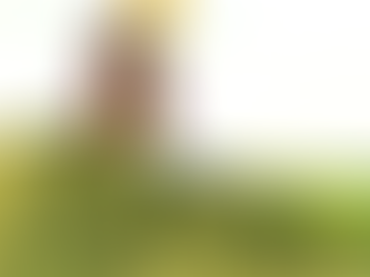 Seeking For A Better Country