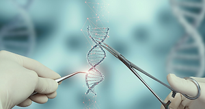 Captura de pantalla 2025-03-21 a las 16.55.53.png