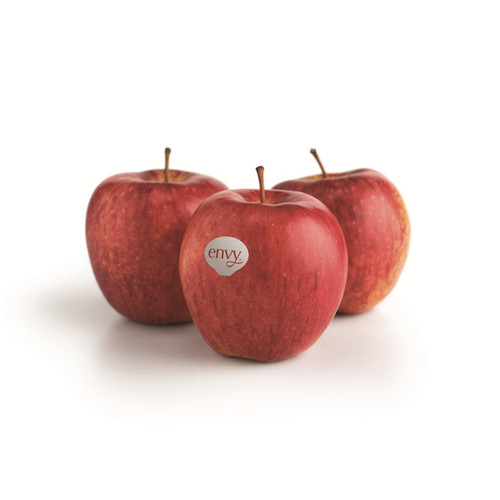 Envy Apple (New Zealand) 3 pc FRESHIE