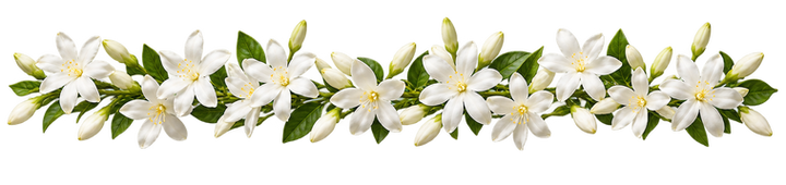 1aa1e18c-9edd-4000-860e-a42eb869f106.png