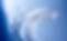 AdobeStock_154637453.jpeg