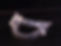 AdobeStock_202230082.jpeg