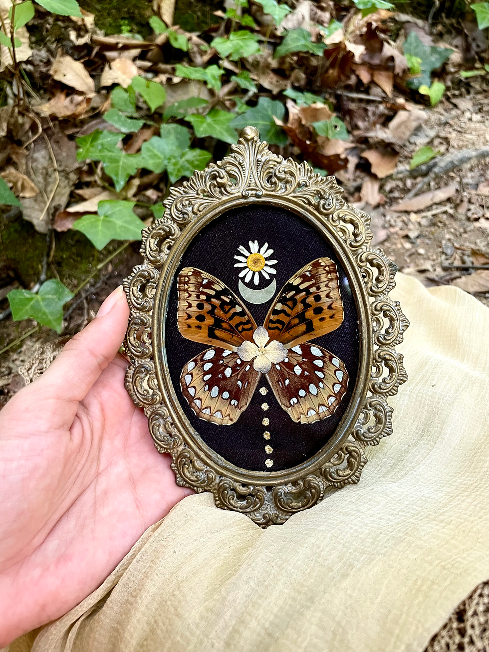 Thumbnail: Fire Onyx