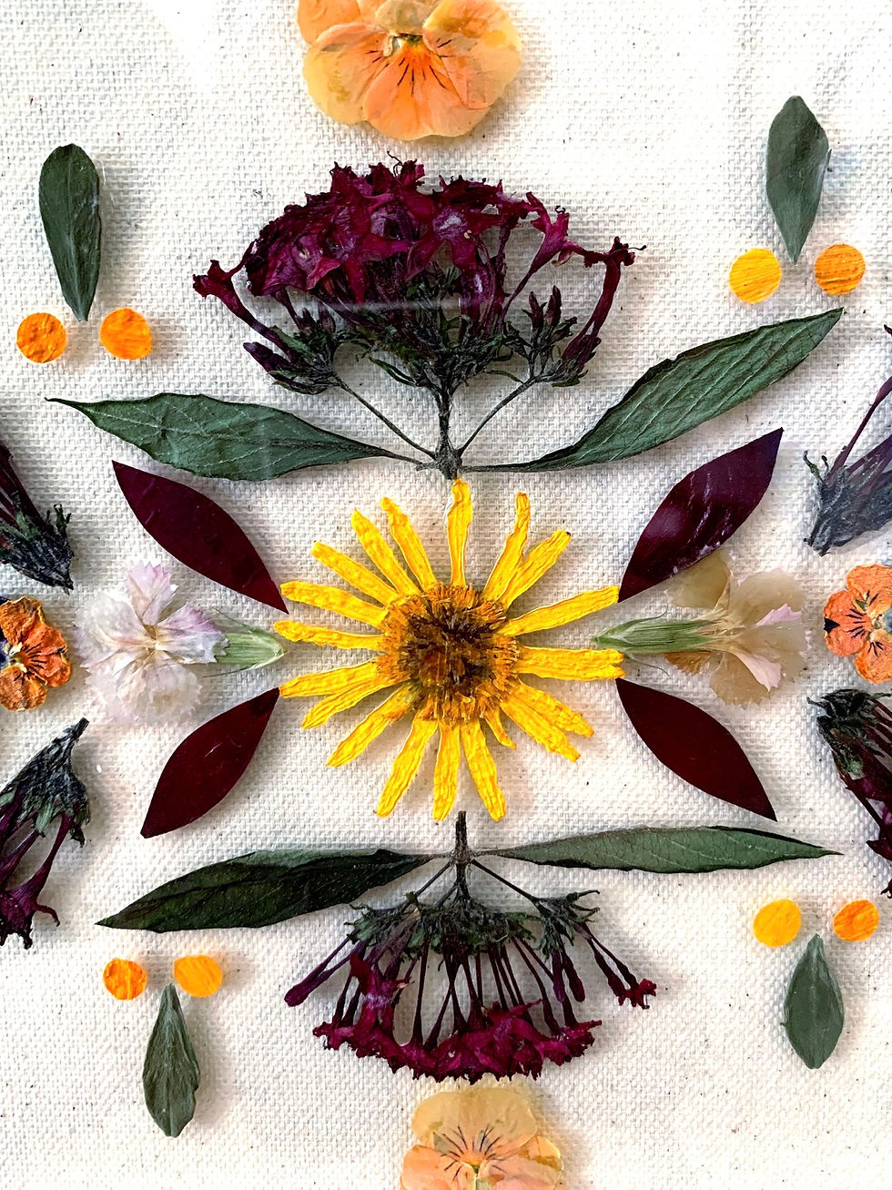 Thumbnail: Bloom